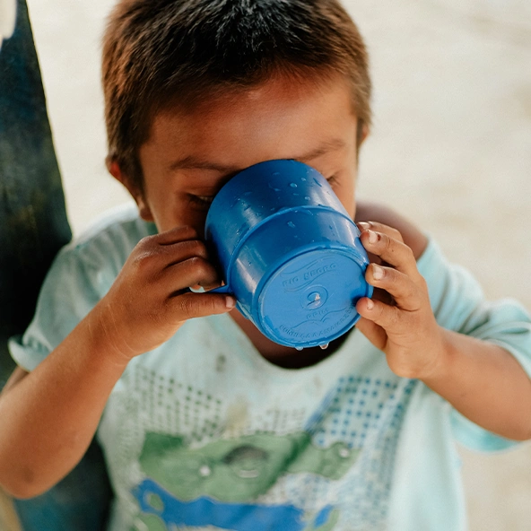 Imagem de printscreen de sites onde a Água Camelo aparece